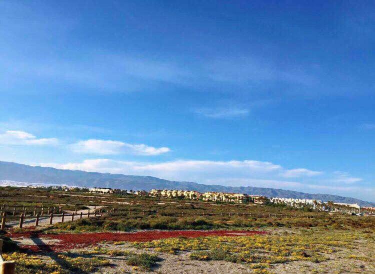 Apartamento Lujo, Primera Linea Playa, Garaje, Wifi, Piscina Climatizada Рокетас-де-Мар Екстер'єр фото